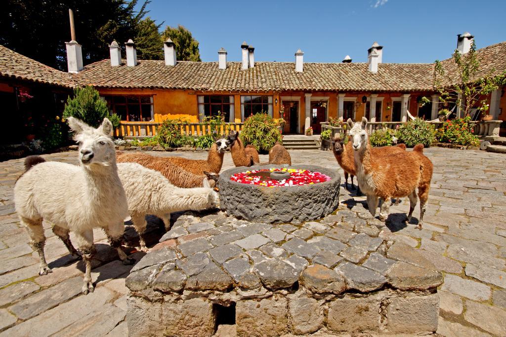 Hacienda San Agustin De Callo Lasso Екстериор снимка