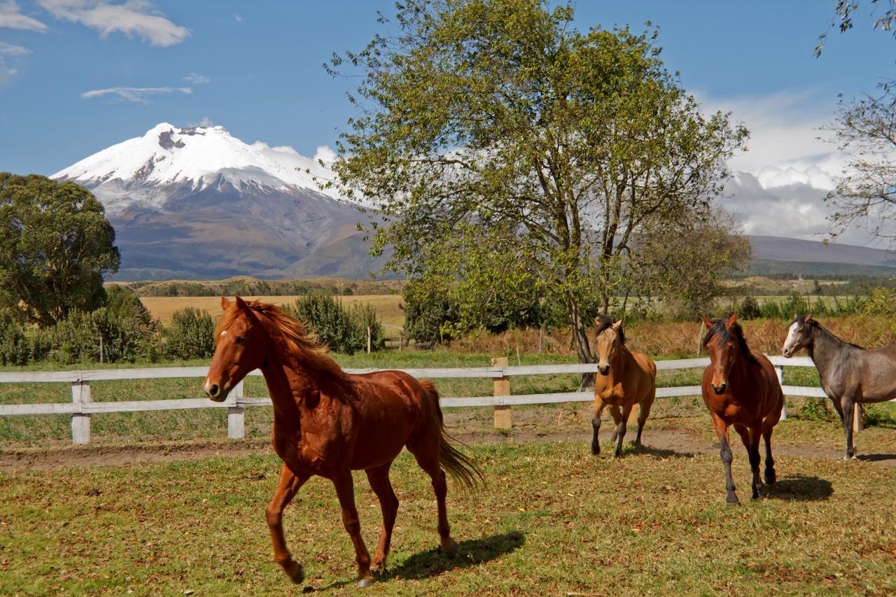 Hacienda San Agustin De Callo Lasso Екстериор снимка